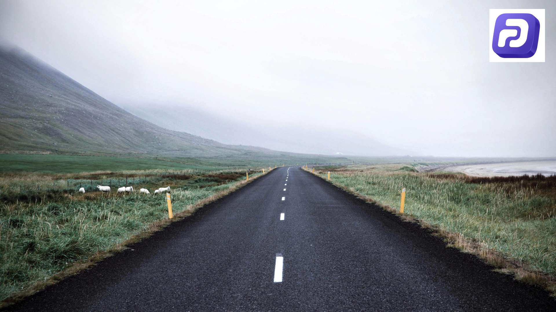 سفر مشتری در دیجیتال مارکتینگ چیست؟ راهنمای کامل بهینه‌سازی و افزایش فروش